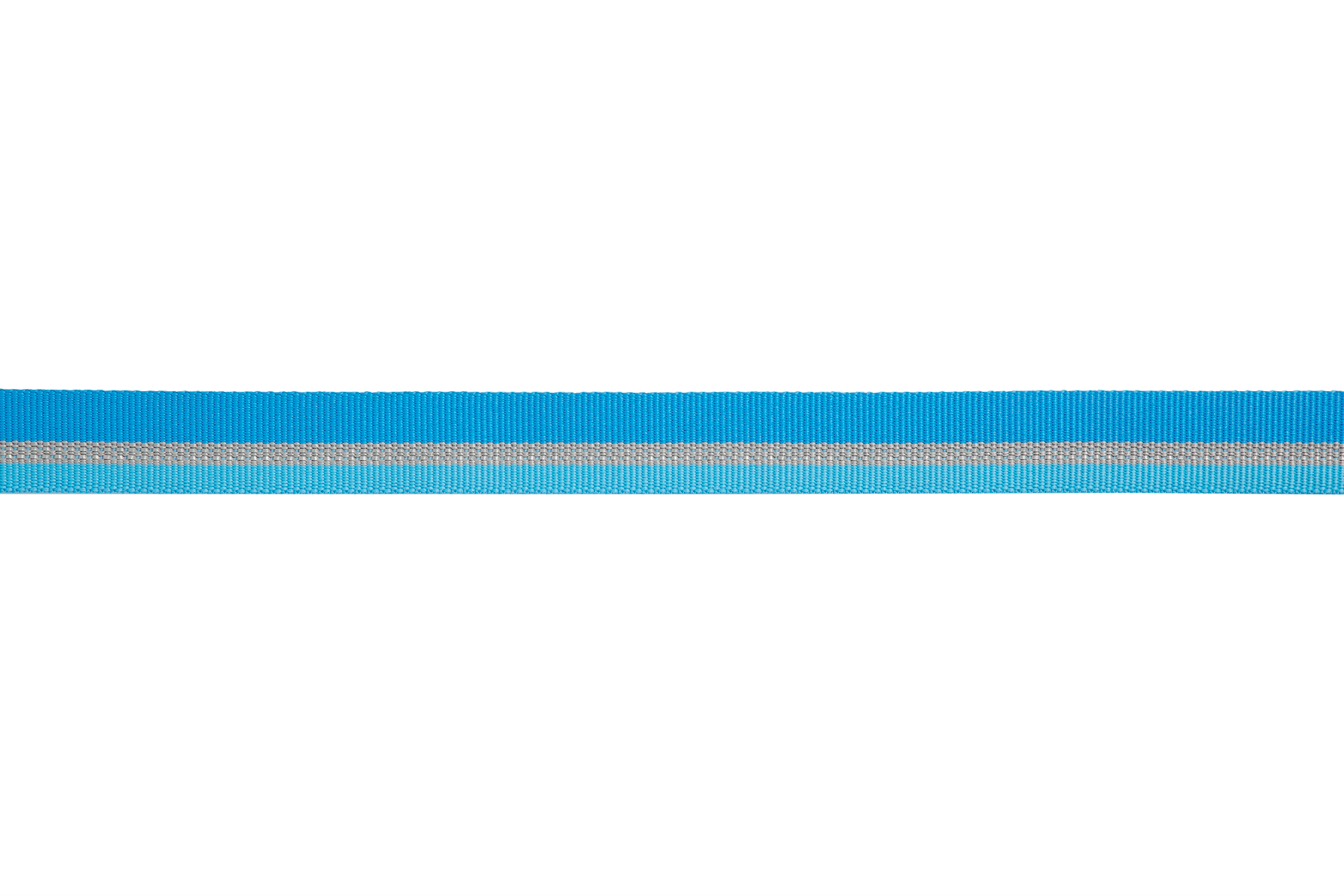 Web Reaction™ Martingale Dog Collar With Buckle