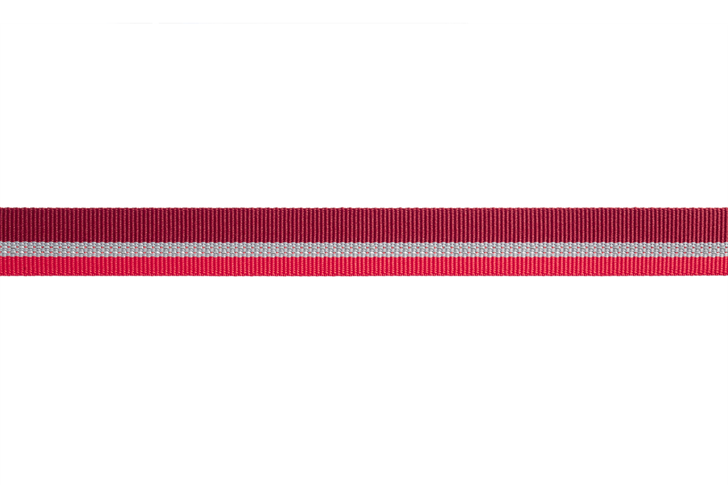 Crag™ Reflective Dog Collar