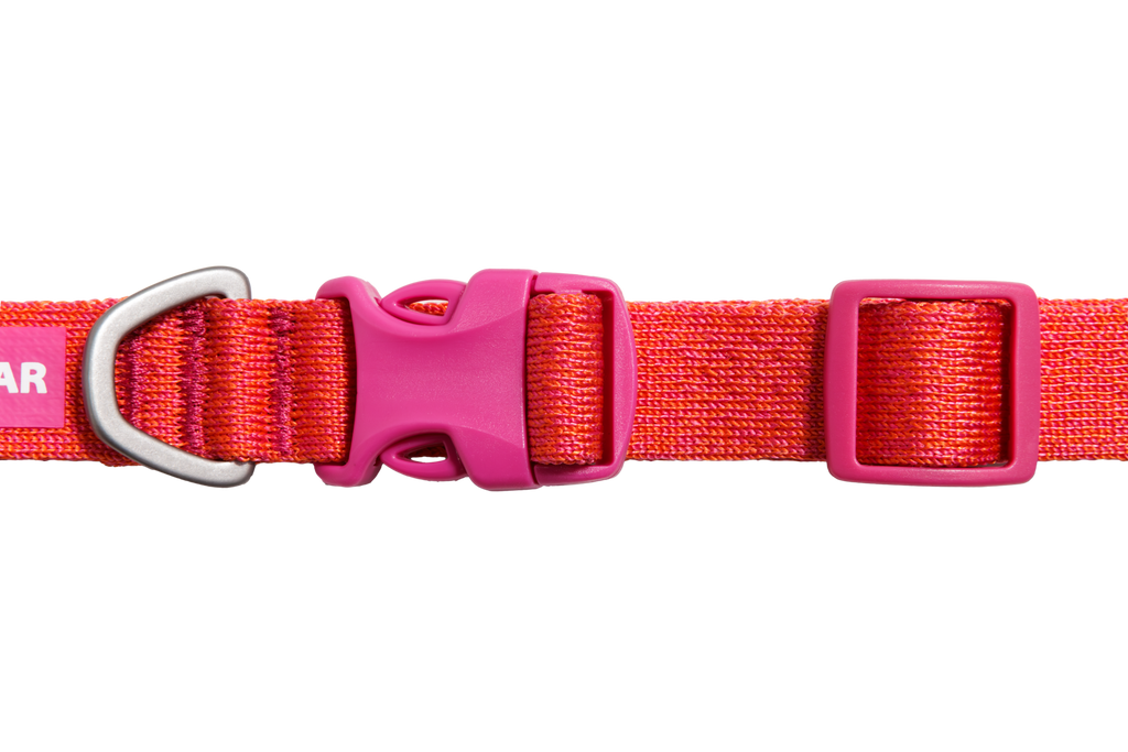 Front Range™ Flex Collar