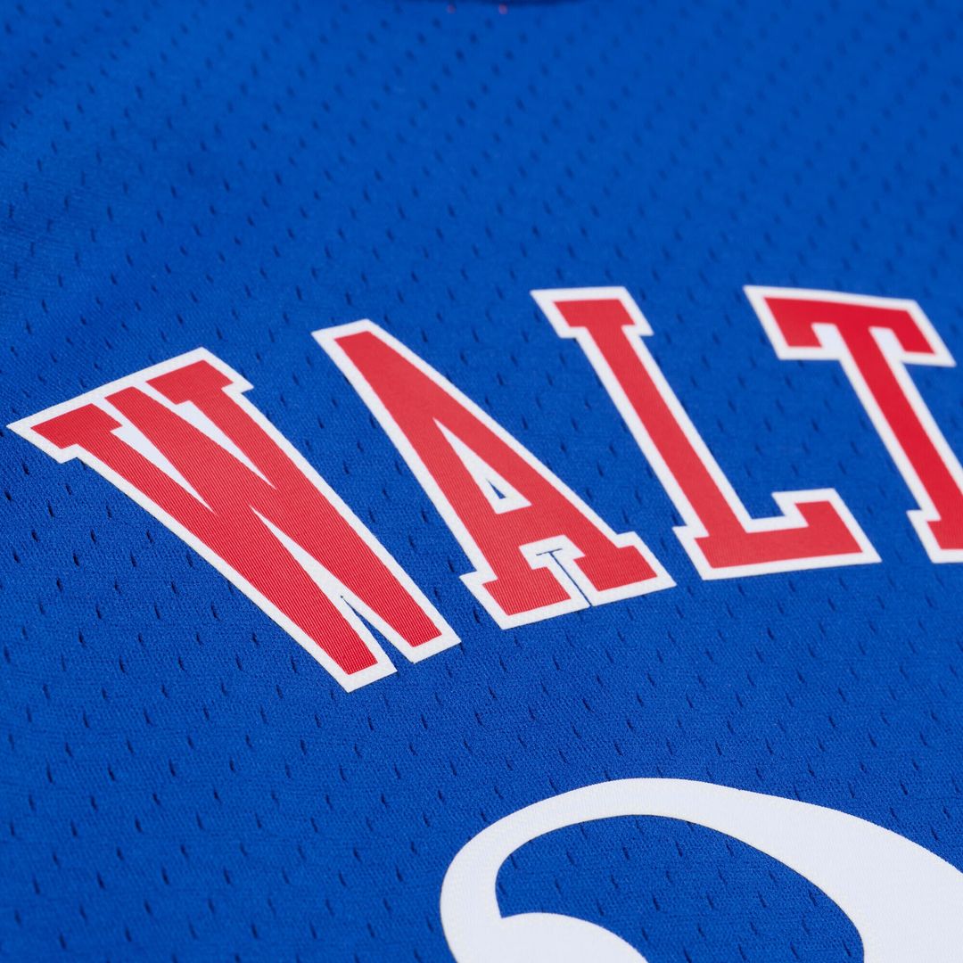 Bill Walton LA Clippers Mitchell & Ness 1984 - 85 Swingman Jersey - Royal